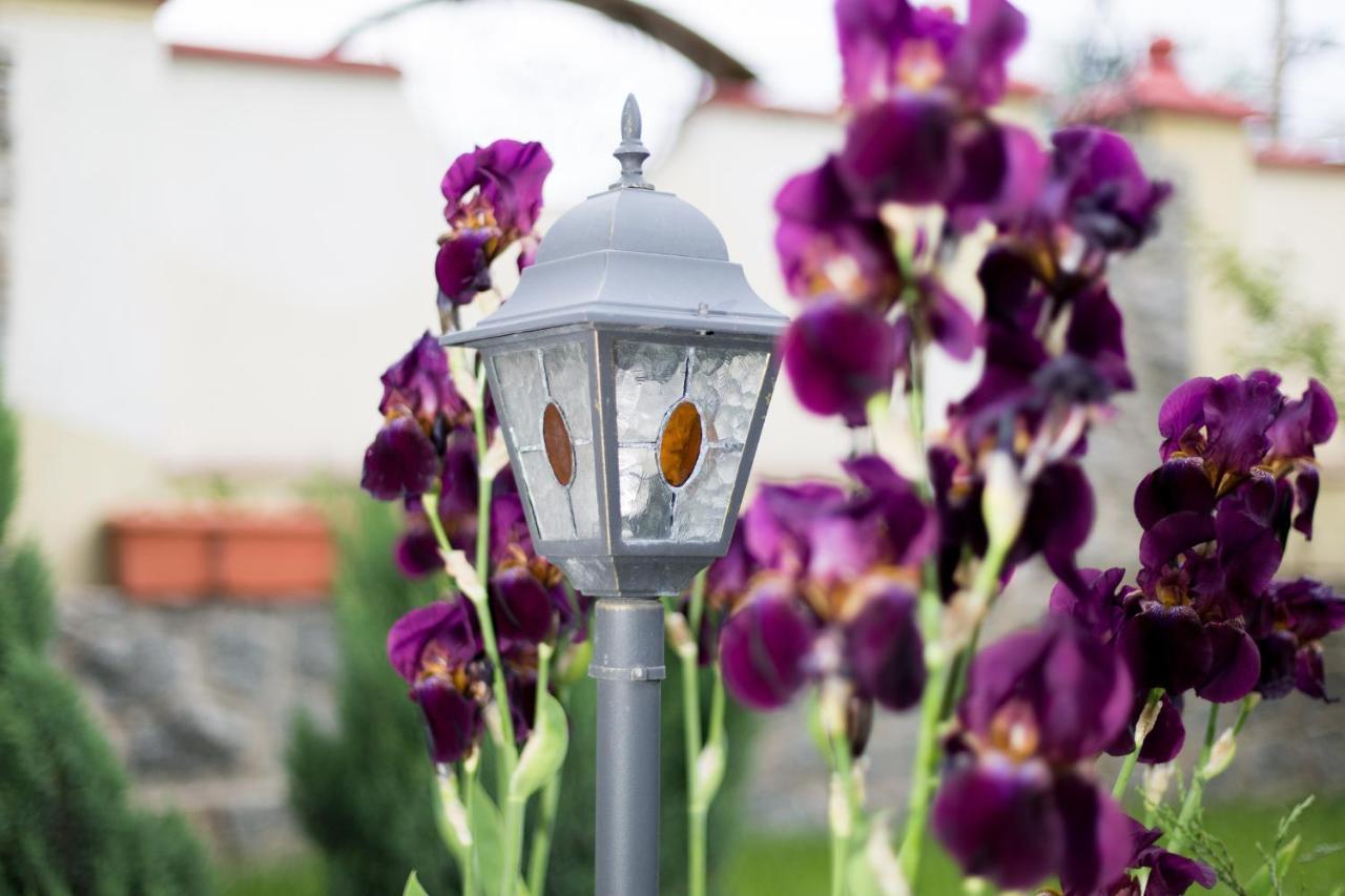 Villa Oselya Κίεβο Εξωτερικό φωτογραφία